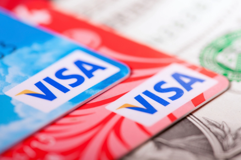 CareCredit vs 0% APR Card for a Large Vet Bill